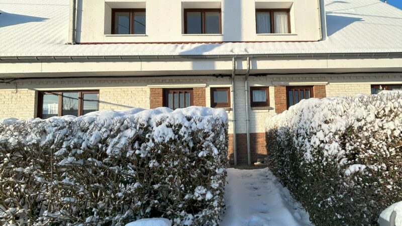 Rénovation de 94 maisons à Court-Céroux, roose peeters architects+u, architecte bruxelles, séparation mur, maisons