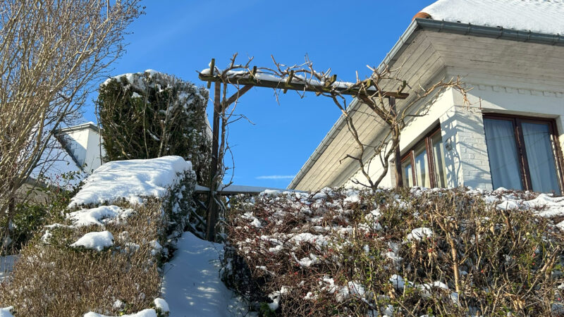 Rénovation de 94 maisons, roose peeters architects + u, architecte bruxelles